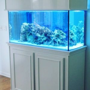 Aquarium Fish Tank