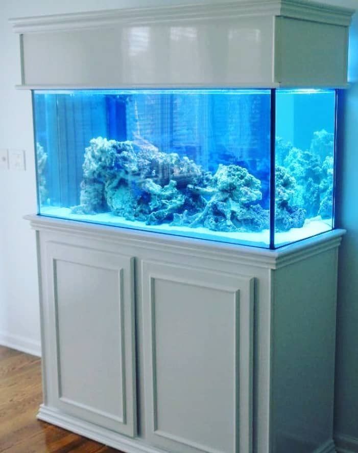 Aquarium Fish Tank