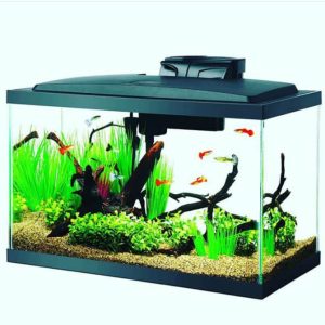 Aquarium Fish Tank