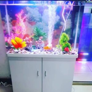 Aquarium Fish Tank with shelves