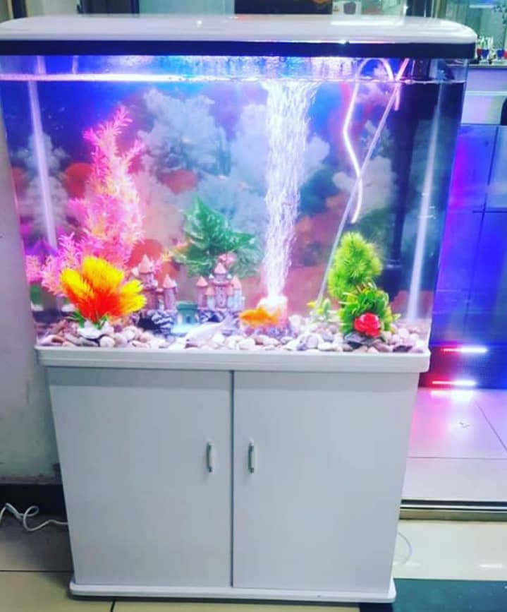 Aquarium Fish Tank with shelves