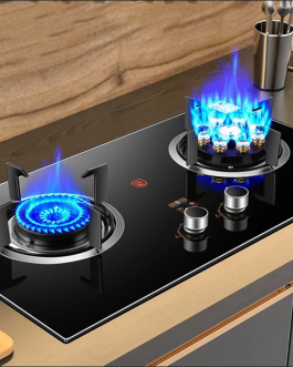 Gas stove