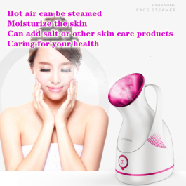 Facial steamer