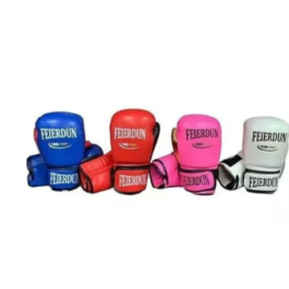 Boxing Gloves  10 OZ