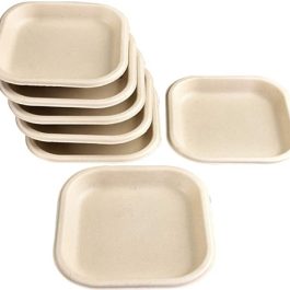Semi Plastic Square Snack Plates 12Pcs