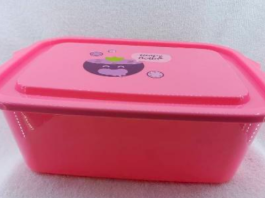 Plastic Food Container