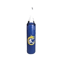 Punching/Training Bag