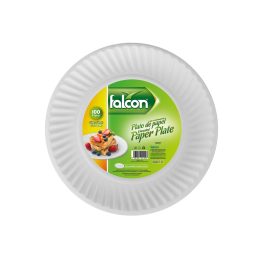 9-Inch Disposable Paper Plates 100Pcs